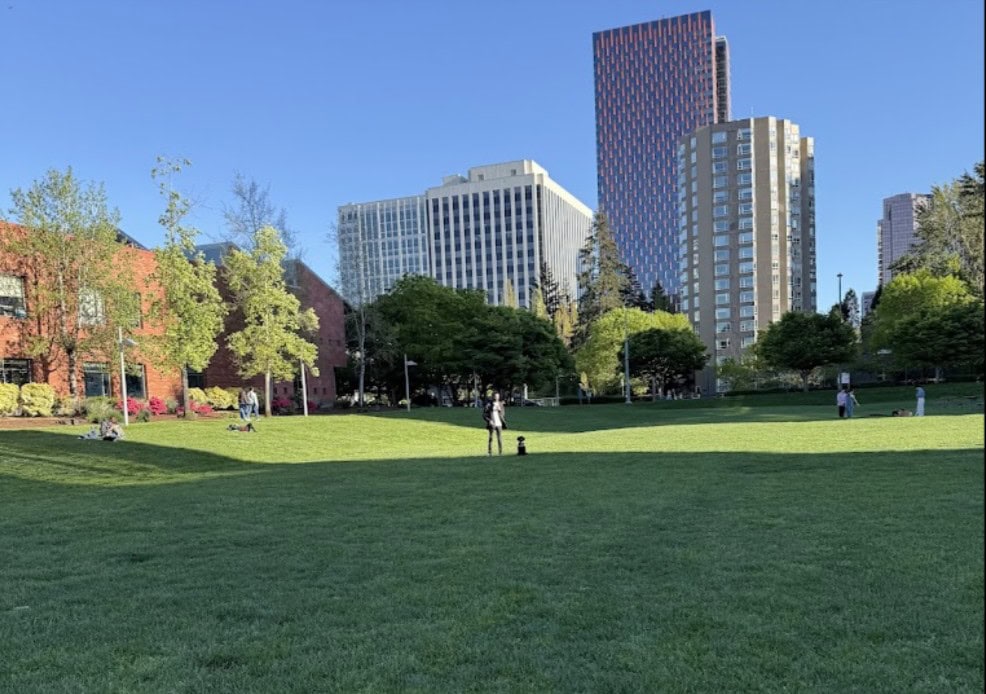 Ashwood Park Bellevue
